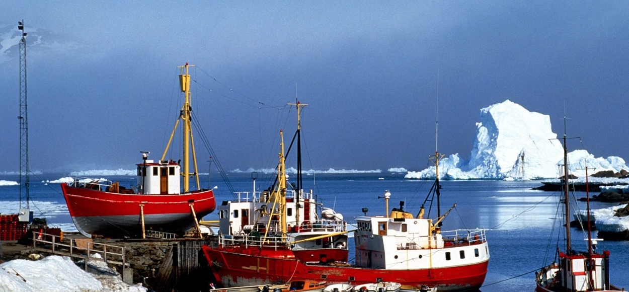 날개를 펼친 선배들