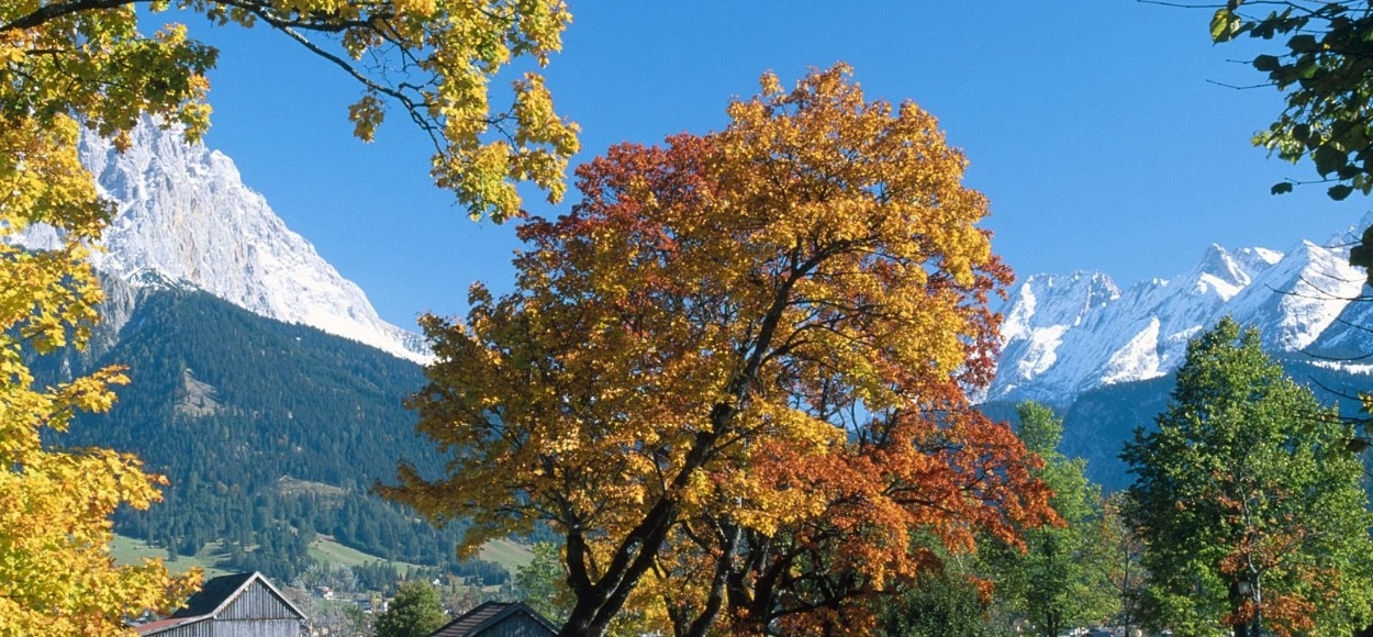 언론이 전하는 우리