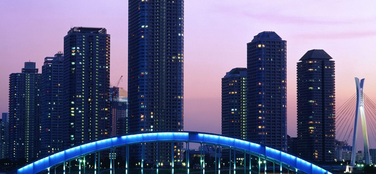 날개를 펼친 선배들