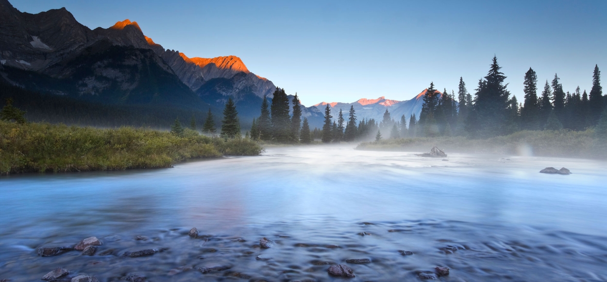 배움의 날개를 달아드립니다