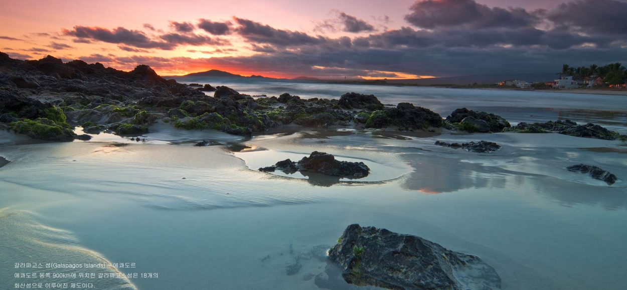 함께 걸어온 길