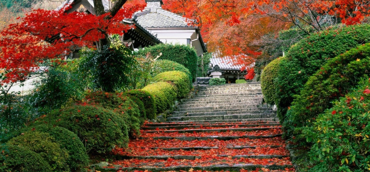 당신을 기다립니다