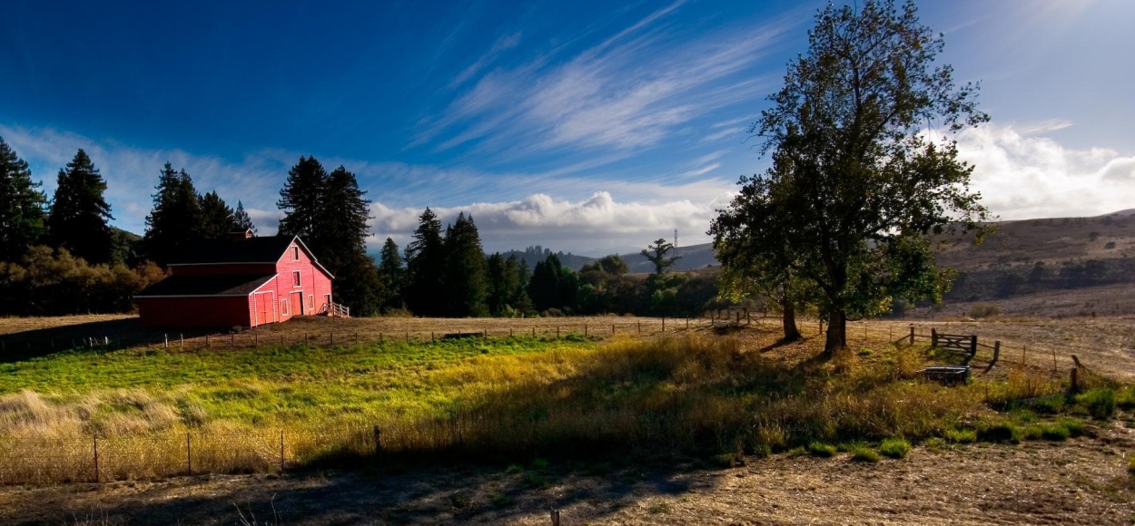 당신을 기다립니다